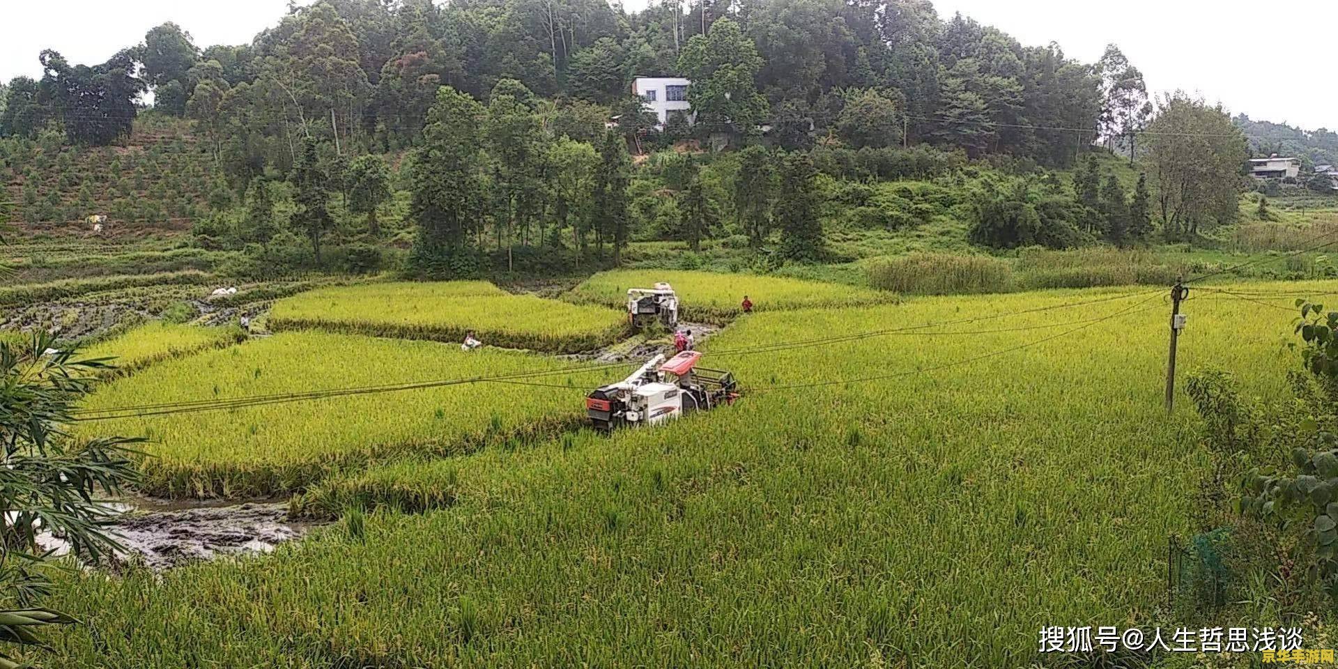 虚拟村庄4图文攻略 建议：虚拟村庄4：探索与发展的智慧之旅