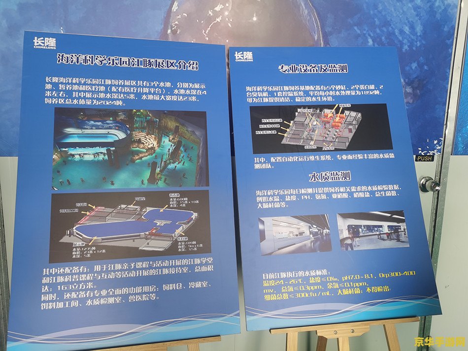 建议：原神海祇之鳍解密：探索神秘海洋的秘密