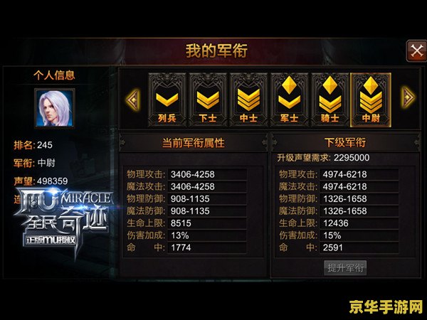 建议：英雄联盟之领袖之勋章：荣耀之路的挑战与荣耀
