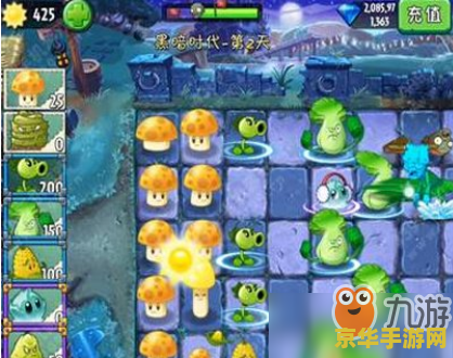 植物大战僵尸 攻略 建议：植物大战僵尸：攻略与策略，助你轻松通关