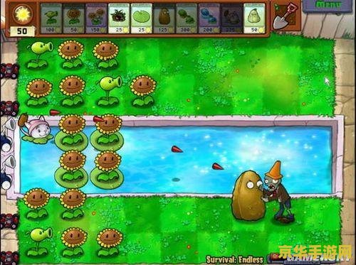植物大战僵尸 攻略 建议：植物大战僵尸：攻略与策略，助你轻松通关