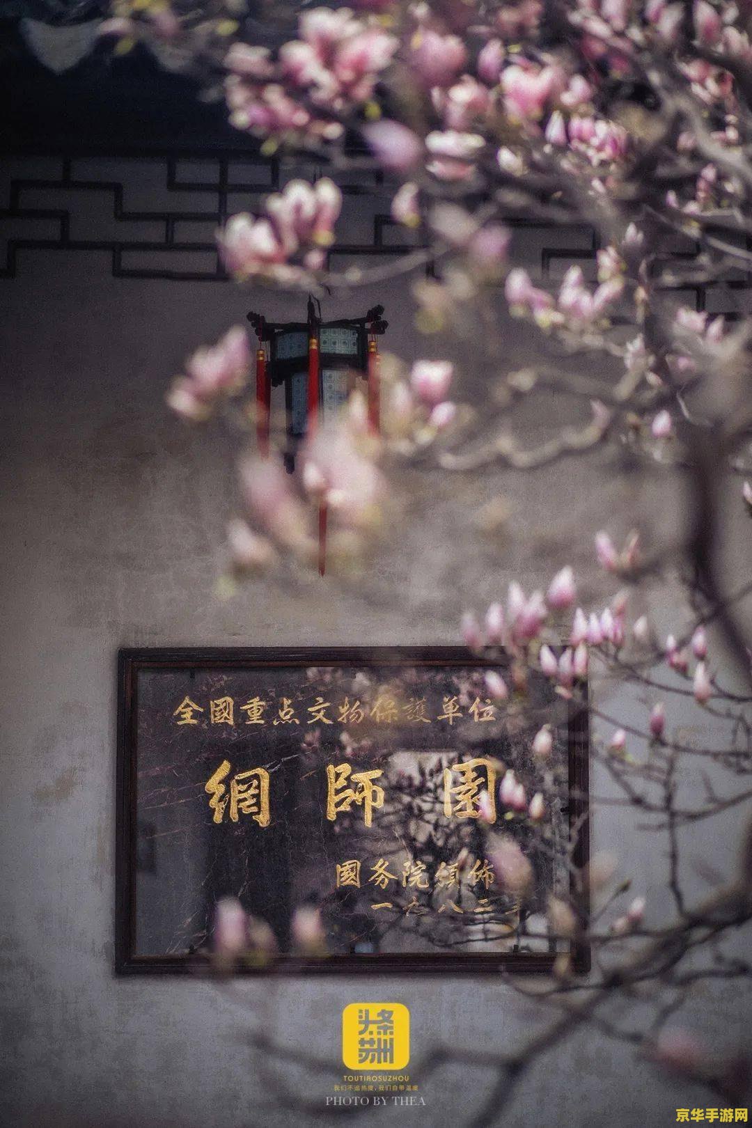 建议：宝象国剧情攻略：探索神秘之旅，解锁隐藏宝藏
