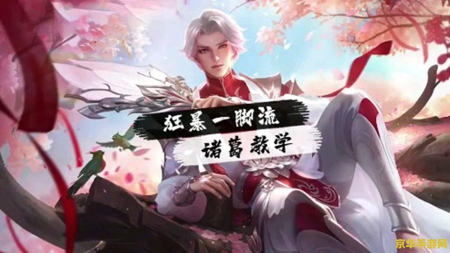 王者荣耀什么打诸葛亮 王者荣耀中如何有效应对诸葛亮