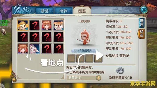 诛仙2宠物系统详解