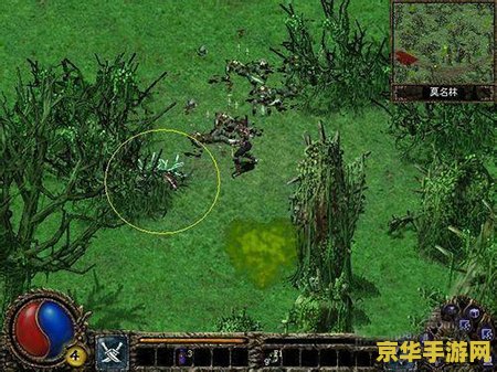 **冒险岛皇家发型大全**