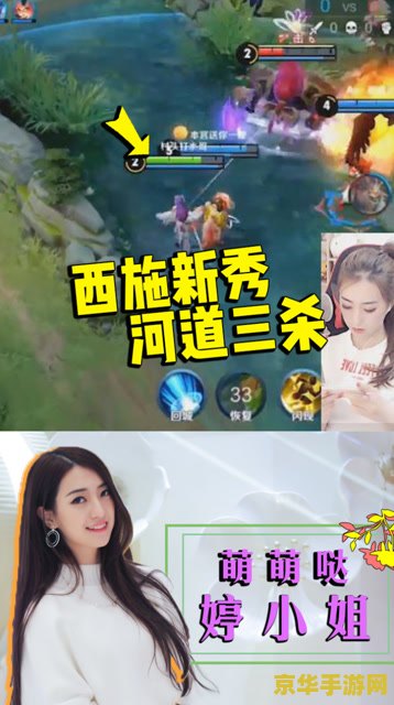 王者荣耀婷小姐叫什么意思 建议：王者荣耀中的婷小姐：一位独特的游戏角色