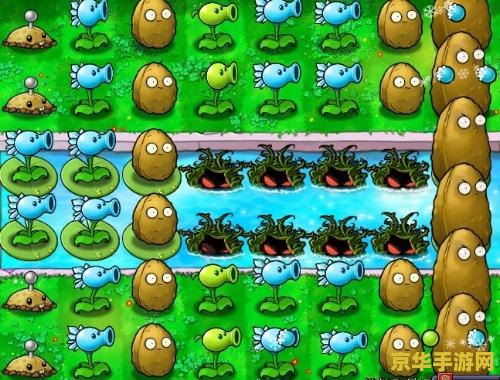 植物大战僵尸完整版 建议：植物大战僵尸：终极版
