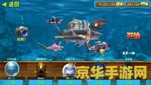 建议：饥饿的鲨鱼进化存档：探索海洋的生存之旅