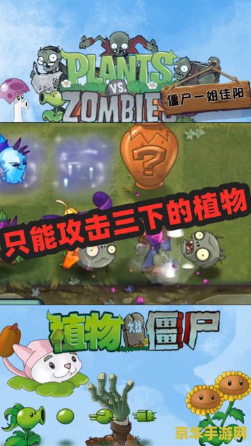 植物大战僵尸完整版 建议：植物大战僵尸：终极版