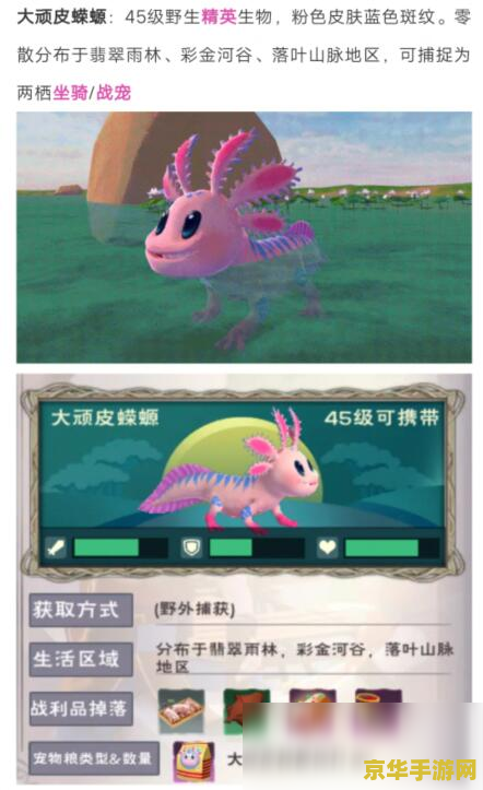 创造与魔法顽皮蝾螈 建议：创造与魔法：顽皮蝾螈的奇幻冒险