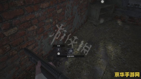 生化危机5如何联机 建议：生化危机5：联机攻略与技巧解析