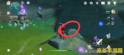 创造与魔法幼紫鲨饲料 创造与魔法幼紫鲨饲料
