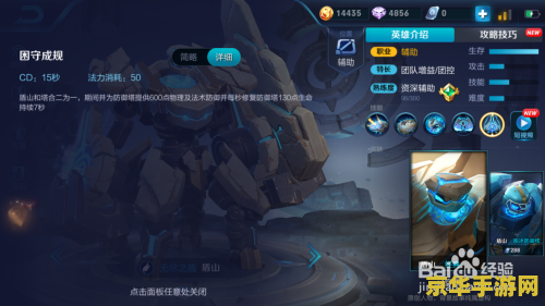 王者荣耀盾牌什么意思 建议：王者荣耀：盾牌的奥秘与策略