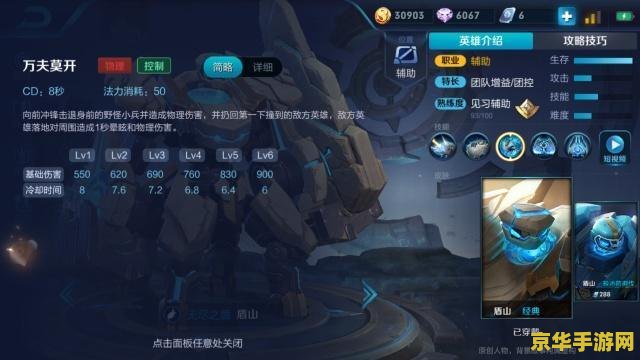 王者荣耀盾牌什么意思 建议：王者荣耀：盾牌的奥秘与策略