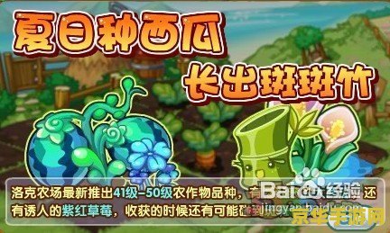 洛克王国斑斑竹 建议：洛克王国：斑斑竹的秘密与挑战