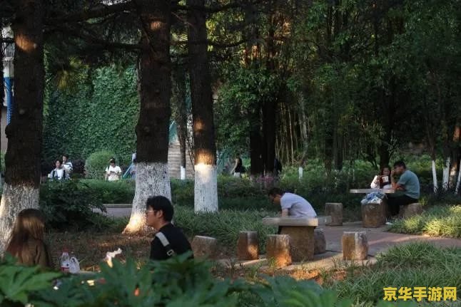 建议：原神水月池解密参拜尊：探索游戏中的神秘元素