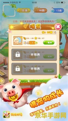 建议：冒险岛猪的海岸：猪猪的冒险之旅