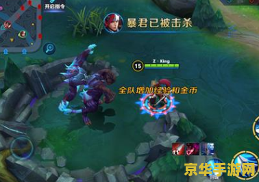 王者荣耀里暴君是什么 建议：王者荣耀：暴君的崛起与影响