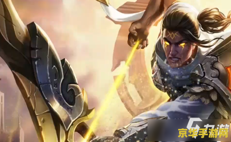 王者荣耀里的肉盾是什么 王者荣耀里的肉盾是什么**