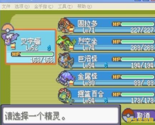建议：口袋妖怪绿宝石386：探索神秘世界的冒险之旅