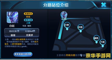 王者荣耀玩什么肉盾 王者荣耀：肉盾英雄的选择与策略