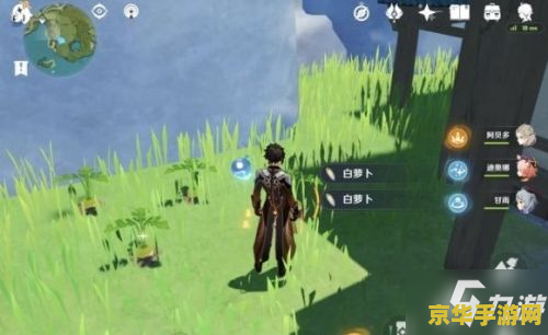 原神中白萝卜怎么找 建议：原神：寻找白萝卜的秘诀与攻略
