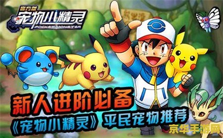 建议：宠物小精灵特别篇：精灵世界的冒险之旅