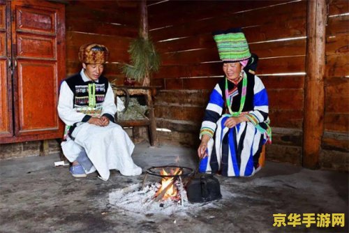 建议：功夫派守护神：传承武道，守护和平