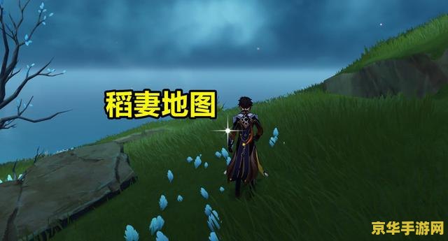 建议：原神稻妻如星的宝珠：探索神秘宝藏之旅