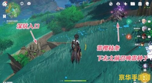 英雄联盟无限视野用哪个插件？