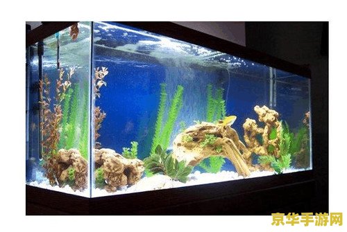 原神钓上来的鱼有鱼缸 原神钓上来的鱼有鱼缸