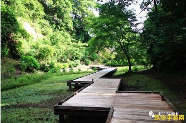 原神秘境曲径通幽之处 曲径通幽之处