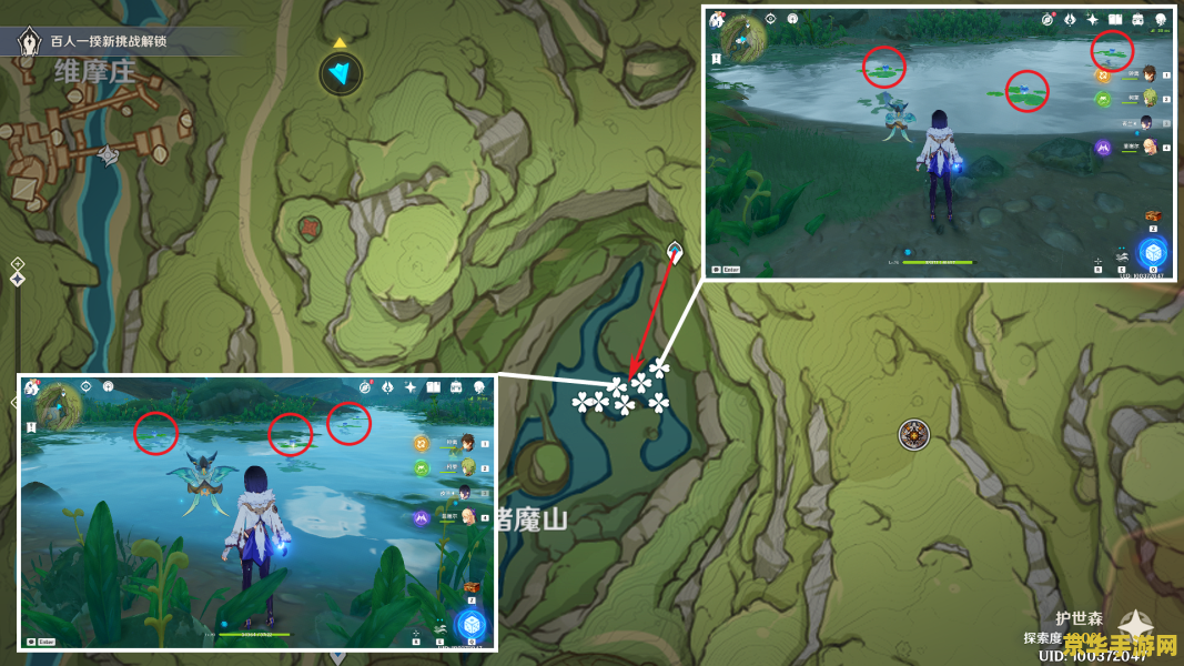 原神中哪里有月莲 原神中月莲的分布与采集