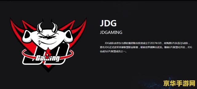 fnatic英雄联盟战队成员 fnatic英雄联盟战队成员深度解析