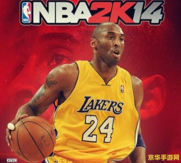 nba2k14操作 NBA 2K14 操作指南：从入门到精通