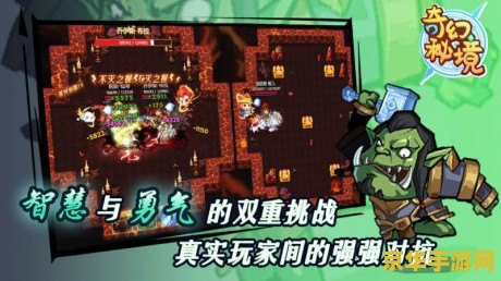 经典网游 经典网游传奇：无尽的冒险