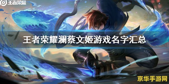 王者荣耀澜粗暴的进入蔡文姬 澜与蔡文姬：一段粗暴而深情的游戏之旅