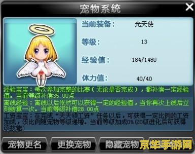 qq飞车宠物名字 QQ飞车宠物名字：从文化内涵到游戏策略