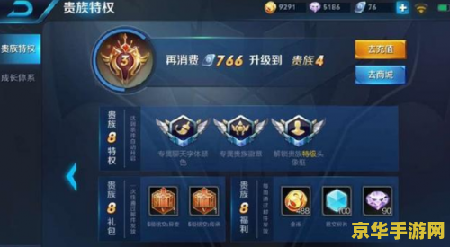 王者荣耀vip给什么 王者荣耀VIP特权：尊享豪华福利，提升游戏体验