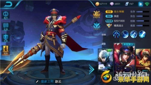 王者荣耀刺客出什么肉 王者荣耀刺客出什么肉装？