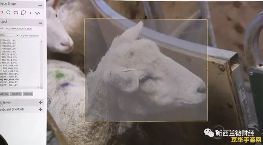羊了个羊代码 羊了个羊代码