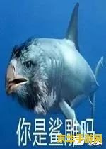 原神鱼类怎么发现 &lt;h3&gt;原神鱼类怎么发现&lt;/h3&gt;