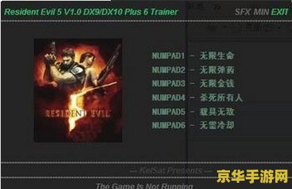 生化危机5修改器跳出 生化危机5修改器跳出问题的解决之道