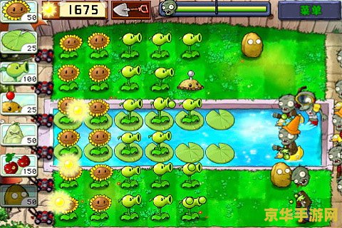 植物大战僵尸在线版 游戏名称：植物大战僵尸在线版
