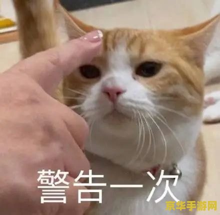 借点钱充原神表情包 借点钱充原神表情包—— 探索游戏内购与玩家心态的深度解析