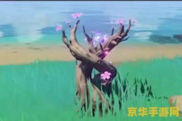 原神鸣草怎么获取 原神鸣草获取攻略
