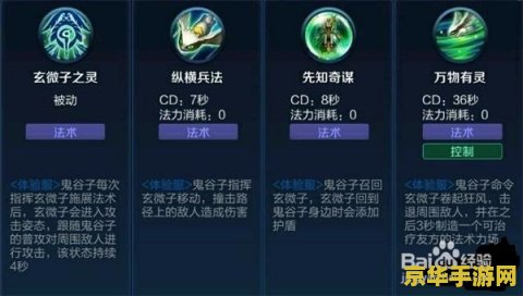 王者荣耀辅助带什么符文 王者荣耀辅助带什么符文：深入解析符文选择的艺术