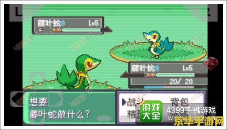 口袋怪兽金版金手指 口袋怪兽金版金手指：游戏攻略与技巧