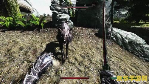 上古卷轴5极限画质mod 上古卷轴5：极限画质Mod的探索与体验