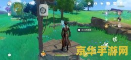 原神绀田村井底石板怎么拿 原神绀田村井底石板怎么拿